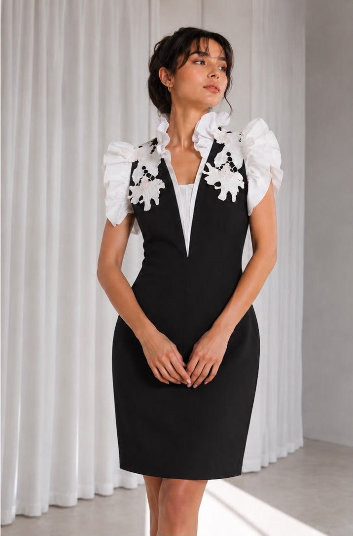 Black & White Floral Appliqué Bodycon Mini Dress